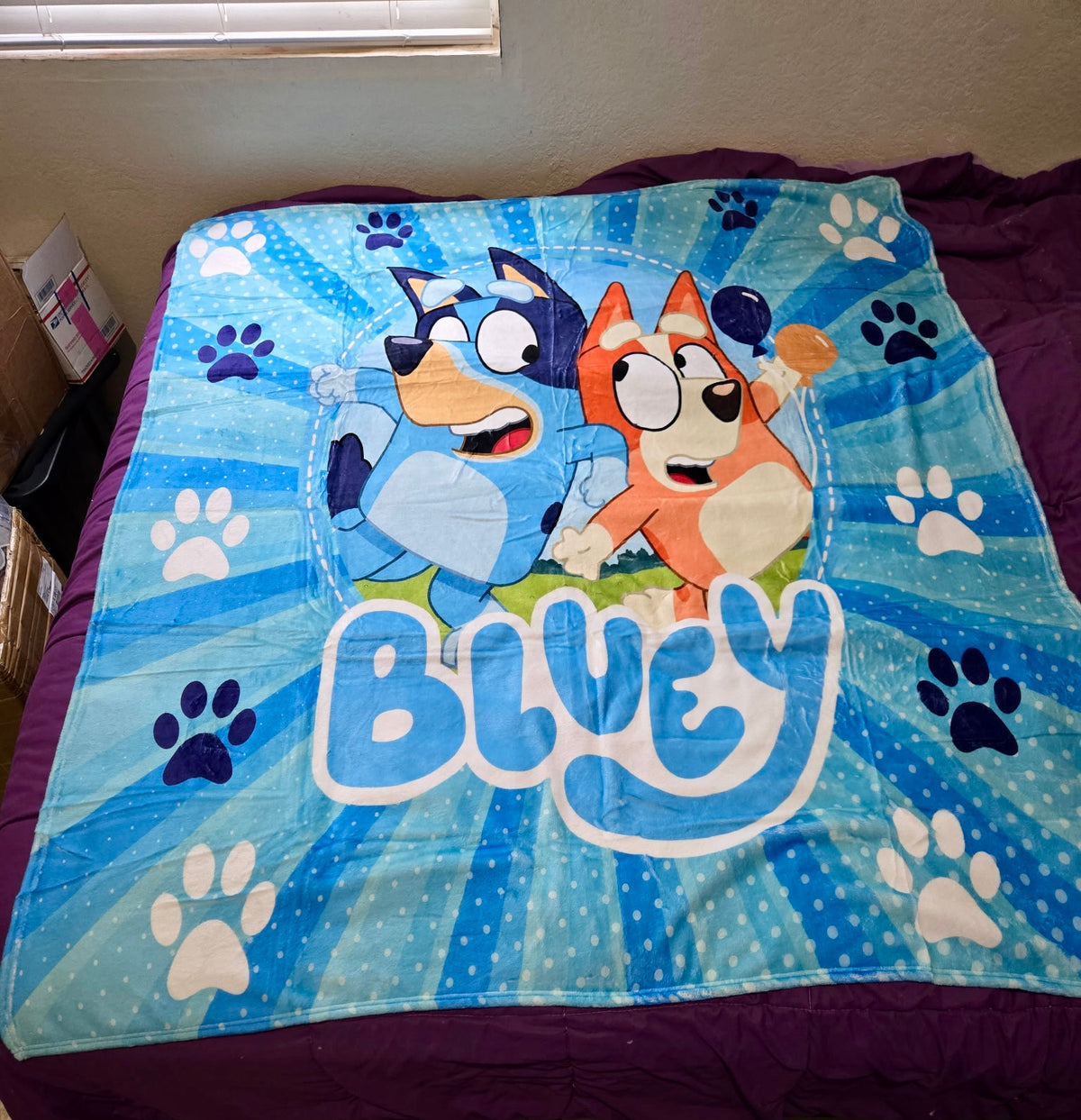 50x60 Fleece Blanket